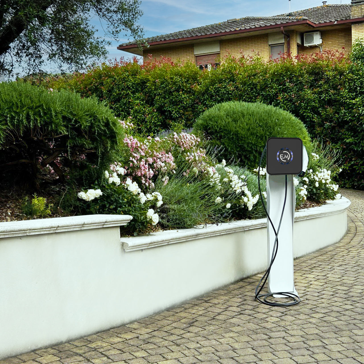 Image Title Alt Image