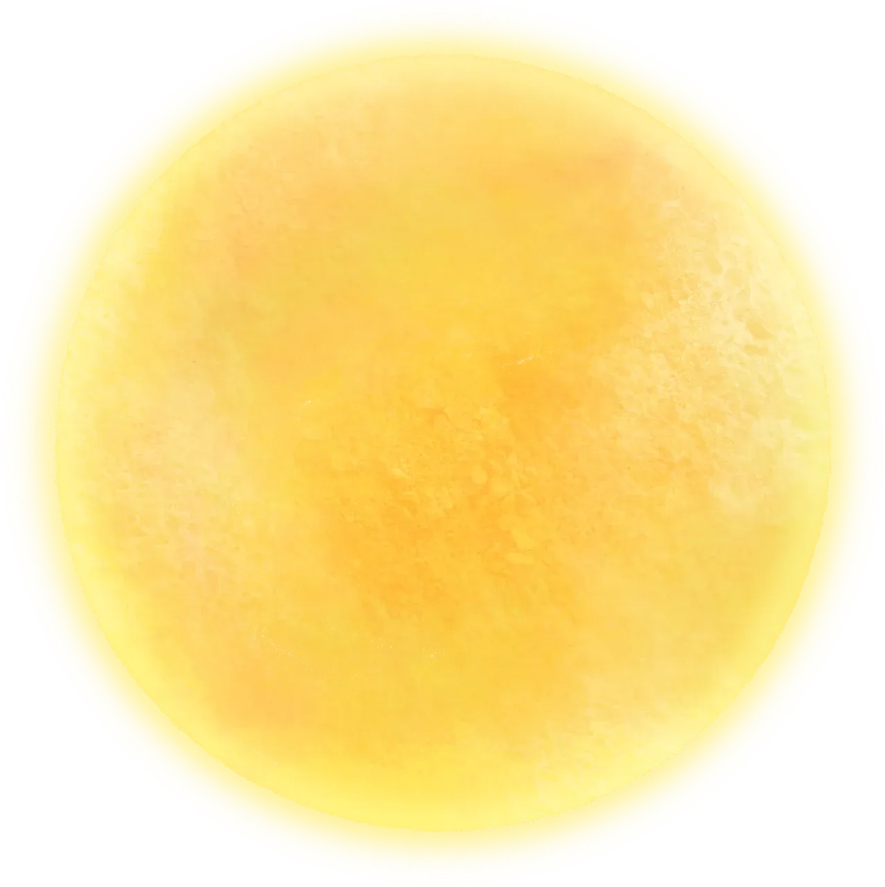 Sole